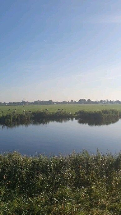 De vakantie (bijna) ten einde? Hier he-le-maal niet hoor! Wie de prachtige route naar De Waterraaf rijdt waant zich onderweg naar een zonnige vakantiebestemming. En eenmaal aangekomen is het dikke mik genieten: het is écht een prachtige (terras)dag aan het water vandaag.

Iedereen is welkom hier!

#lunch #borrel #diner @jachthavennauerna #altijdvakantiehier